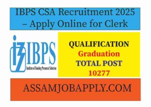 Read more about the article IBPS Clerk Recruitment 2025–26: Apply Online for 10277 Vacancies